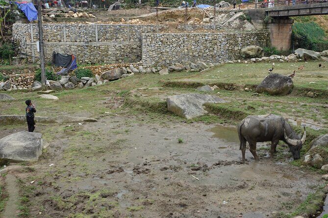 Mountain views and villages trek  1 Day - Final Words