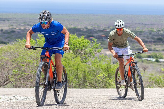 Mountainbike rental 1 week - Authentic Experiences and Authentic Reviews