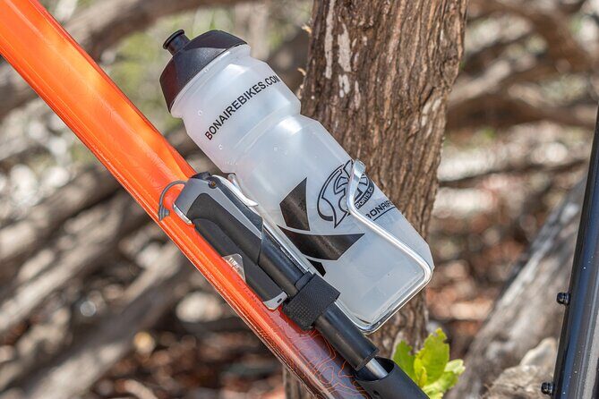 Mountainbike rental 1 week - The Sum Up