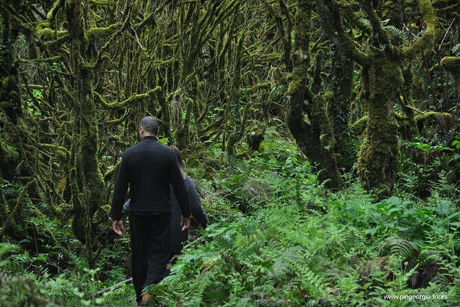 Mountains of Adjara Private Wine Tour from Batumi - FAQ