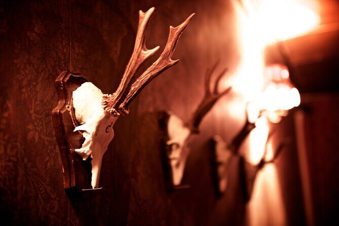 moviESCAPE Stockport Haunted House II Demon's Curse Escape Room - Who Will Love This Experience?
