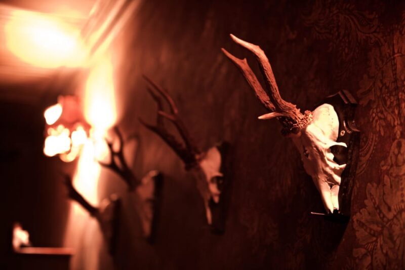 moviESCAPE Stockport Haunted House II escape room game - Final Thoughts