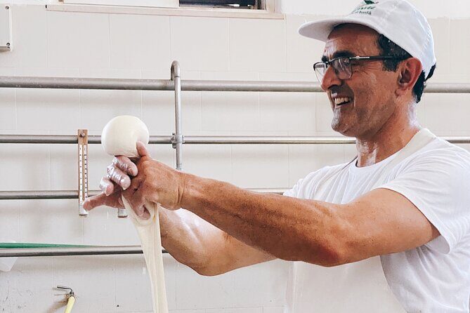 Mozzarella Experience - Cheese Tour and tastings to Masseria Fragnite - The Heart of the Puglian Cheese Tradition