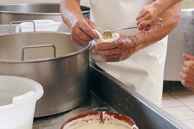 Mozzarella Experience - Cheese Tour and tastings to Masseria Fragnite - Practical Considerations
