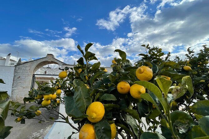 Mozzarella Experience - Authentic Mozzarella Making in the Heart of Puglia