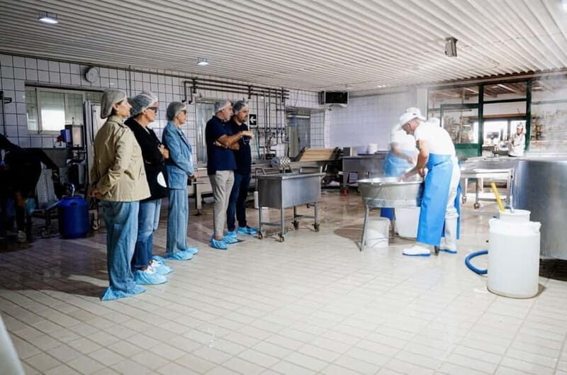 Mozzarella experience: discovering the art of cheese making - Frequently Asked Questions
