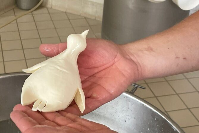 Mozzarella Experience with Tasting in Vico Equense - Key Points