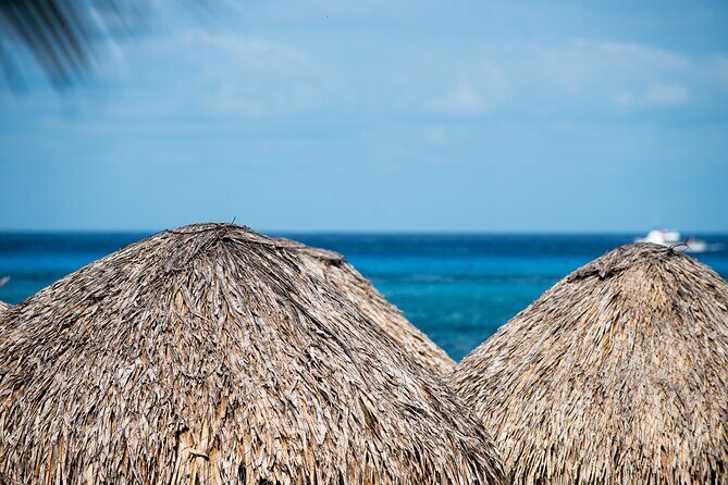 Mr. Sanchos Beach Club All-Inclusive Day Pass - Final Thoughts: Is Mr. Sanchos the Right Choice?