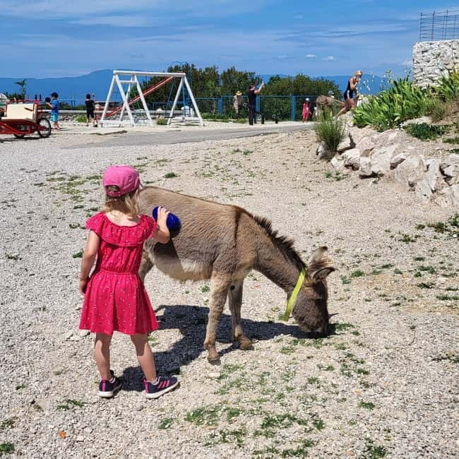 mrika (near Rijeka/Krk/Crikvenica) Donkey Farm Family Fun - An In-Depth Look at the Donkey Farm Near Rijeka