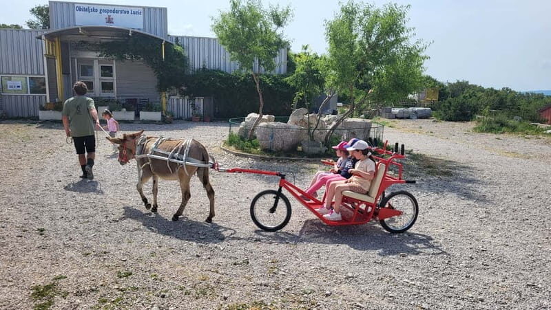 mrika (near Rijeka/Krk/Crikvenica) Donkey Farm Family Fun - FAQ