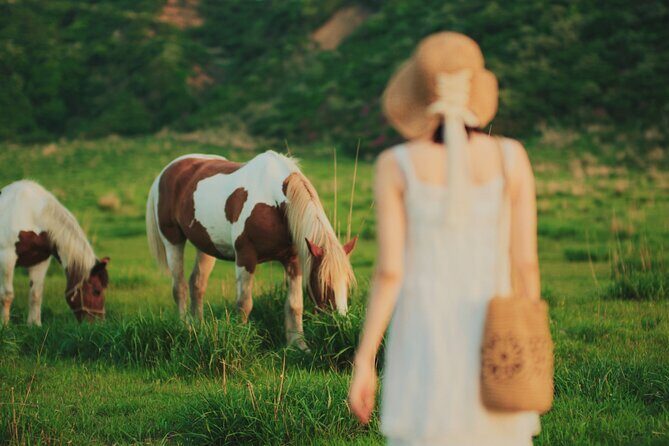 Mt. Aso and Takachiho Gorge One Day Private Tour from Fukuoka - A Deep Dive into the Kyushu Natural Wonders