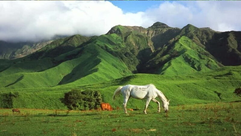 Mt. Aso & Takachiho Gorge Tour with Optional Boat Ride - Final Words
