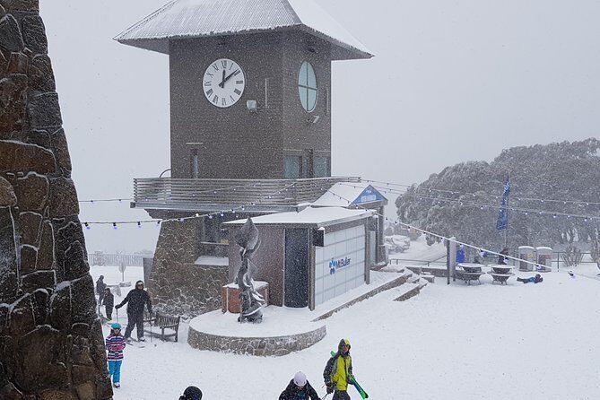 Mt Buller Day Trip from Melbourne - Discover the Snow-Capped Wonders of Mt Buller from Melbourne