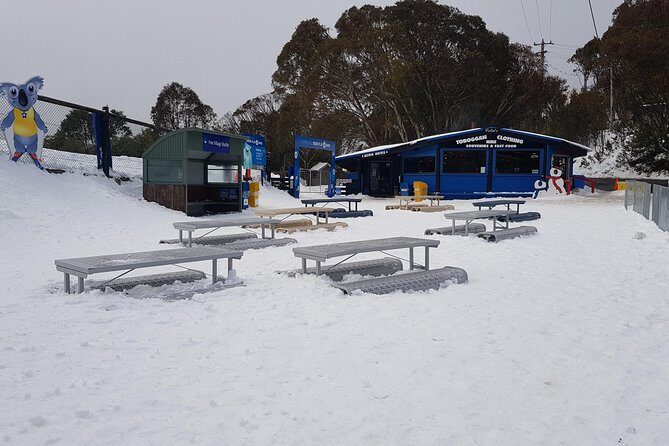 Mt Buller Day Trip from Melbourne - A Deep Dive into the Mt Buller Day Trip Experience