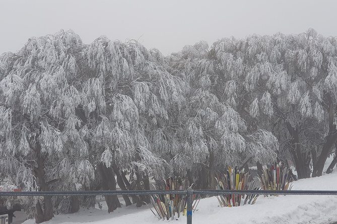 Mt Buller Day Trip from Melbourne - Final Thoughts