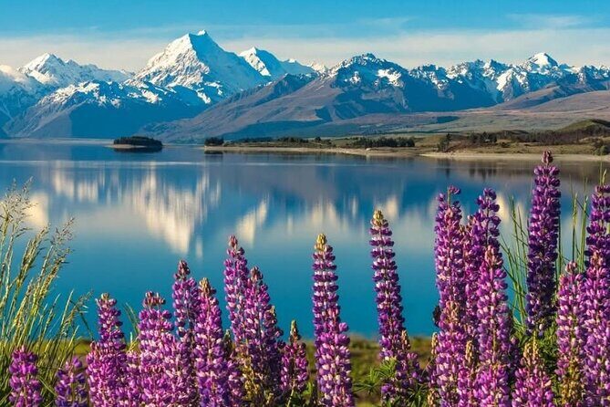 Mt. Cook Private Day Trip From Queenstown with Lake Tekapo - Key Points