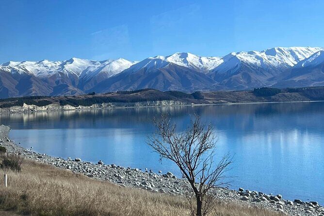 Mt. Cook Private Day Trip From Queenstown with Lake Tekapo - Why This Tour Offers Excellent Value