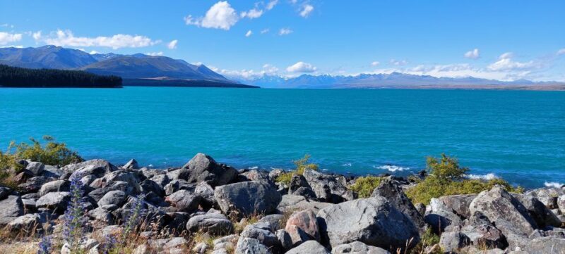 Mt Cook Tour: Finish at Dunedin, Christchurch or Queenstown - The Bottom Line