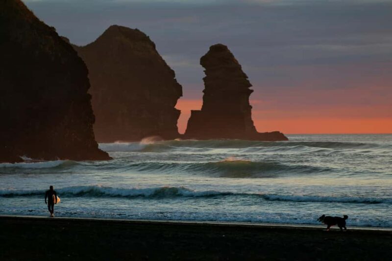 Mt. Eden, Piha Beach & Karekare Waterfalls - PRIVATE TOUR - A Closer Look at What This Tour Offers