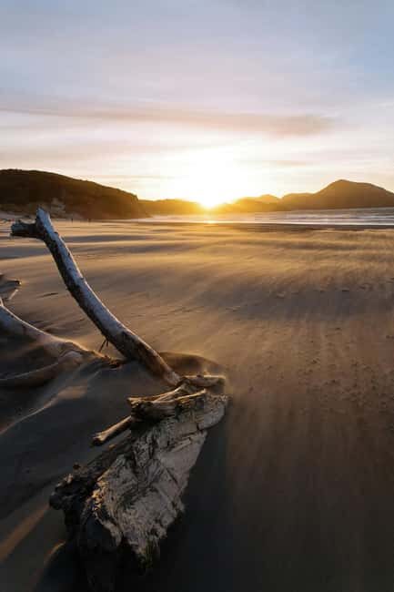 Mt. Eden, Piha Beach & Karekare Waterfalls - PRIVATE TOUR - Final Thoughts