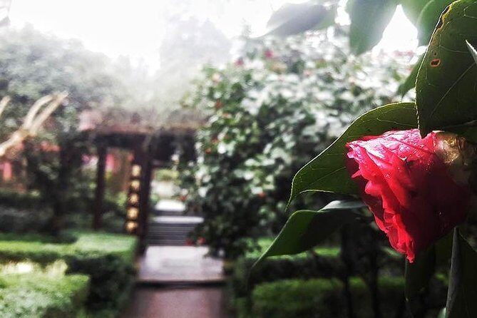 Mt Emei 1 day tour - In-Depth Review of the Mt. Emei 1-Day Tour