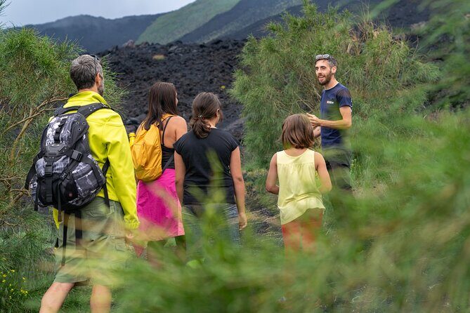 Mt. Etna nature and flavors half day Tour from Catania - Short Intro: A Close-Up on Sicily’s Volcano