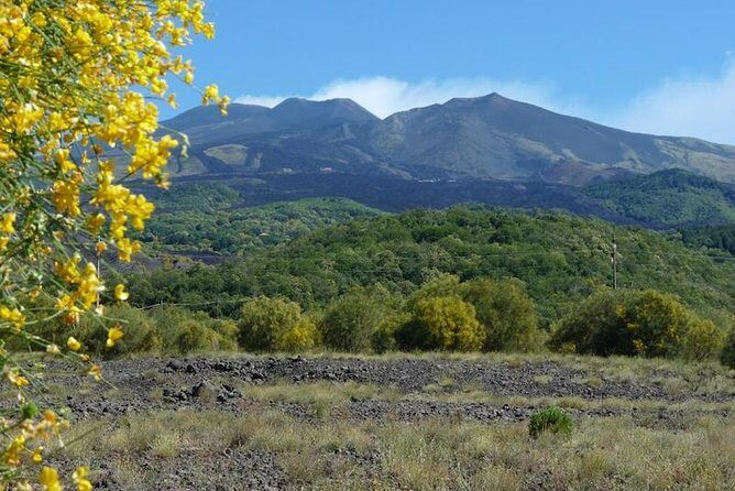 Mt. Etna nature and flavors half day Tour from Catania - Final Verdict