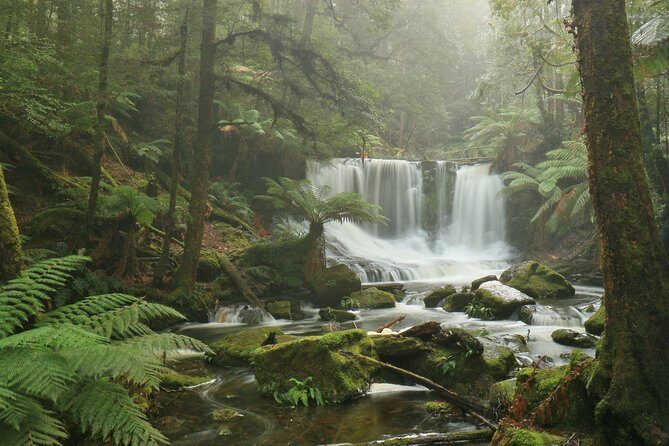 Mt Field, Mt Wellington & Tassie Devils Active Tour from Hobart - Frequently Asked Questions