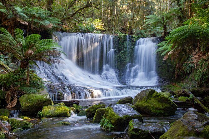 Mt Field National Park and Russell Falls from Hobart - Tall Trees Walk in Mount Field National Park