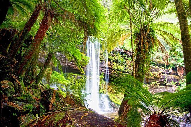 Mt Field National Park and Russell Falls from Hobart - Russell Falls and Surrounding Rainforest
