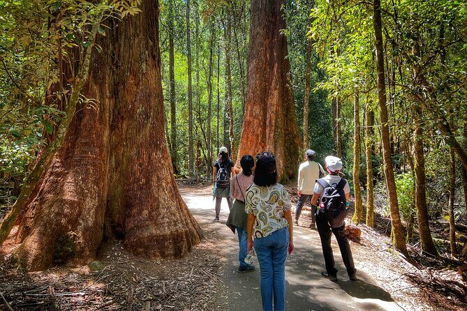 Mt Field National Park and Russell Falls with Bonorong Wildlife - Who Is This Tour Best For?