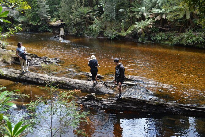 Mt Field Shore Excursion - FAQ