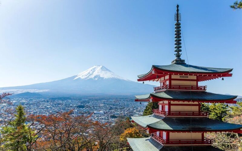 Mt Fuji : 10 hours Private Tour in Luxury Private Car - What To Expect During Your Day