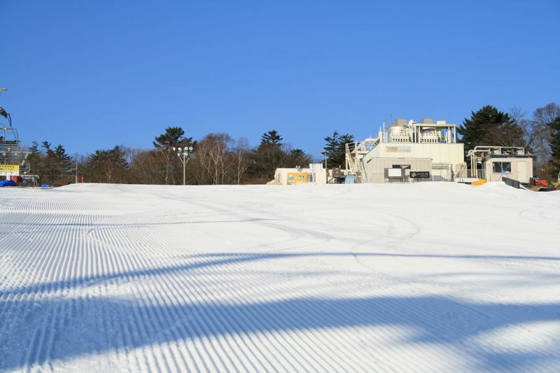 Mt. Fuji 2nd Station Yeti Snow Resort Snow Play/Skiing & Japanese Hot Spring Experience/Strawberry Picking Day Trip (Departing from Shinjuku/Ginza) - A hot spring and strawberries at Toki no Sumika