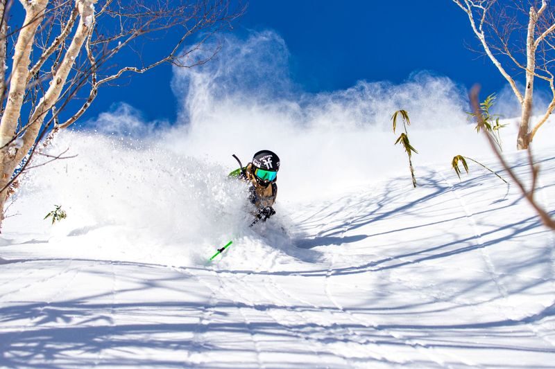 Mt. Fuji 2nd Station Yeti Snow Resort Snow Play/Skiing & Japanese Hot Spring Experience/Strawberry Picking Day Trip (Departing from Shinjuku/Ginza) - Who will get the most from this day trip