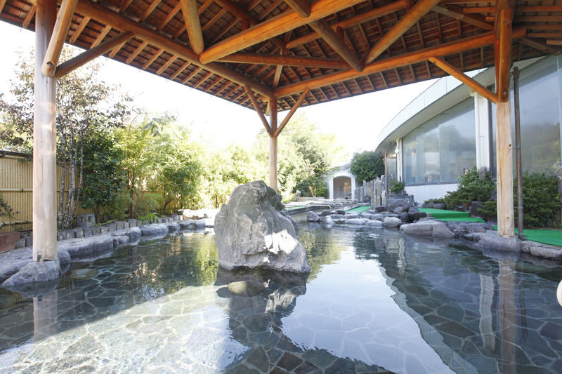 Mt. Fuji 2nd Station Yeti Snow Resort Snow Play/Skiing & Japanese Hot Spring Experience/Strawberry Picking Day Trip (Departing from Shinjuku/Ginza) - Should you book the Yeti, onsen, and strawberry trip?