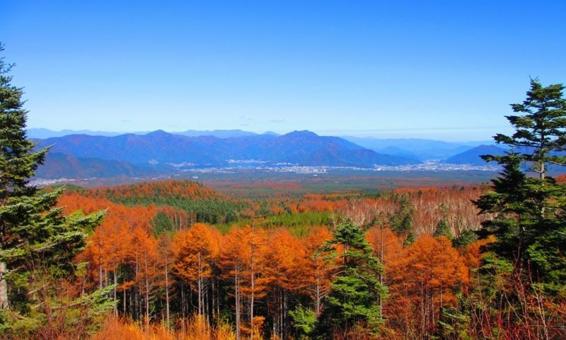 Mt. Fuji 5th & Gotemba Premium Outlets Tour (Disband at Outlets) - Gotemba Premium Outlets: the real reason to stay
