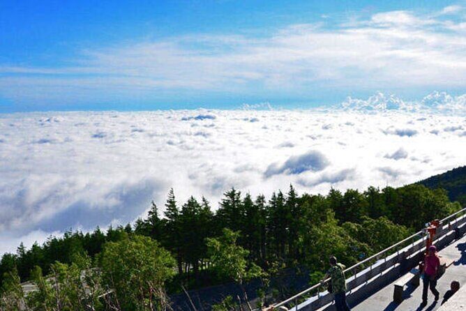 Mt. Fuji 5th Station Arakurayama Sengen Park, Oshino Hakkai Tour - Key Points