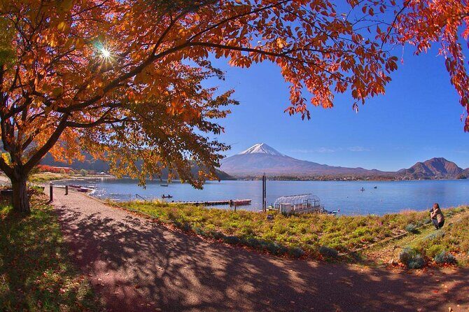 Mt. Fuji 5th Station Arakurayama Sengen Park, Oshino Hakkai Tour - In-Depth Look at the Tour Experience