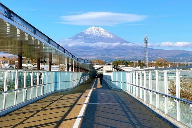 Mt. Fuji 5th Station & Gotemba Outlets Day Tour from Tokyo - Meeting and Timing