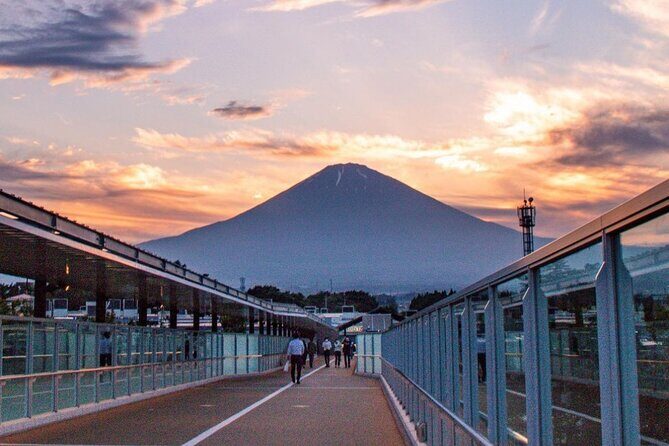 Mt. Fuji 5th Station & Gotemba Outlets Day Tour from Tokyo - Final Thoughts: Is This Tour Right for You?