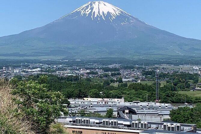 Mt. Fuji 5th Station & Gotemba Outlets Day Tour from Tokyo - FAQ