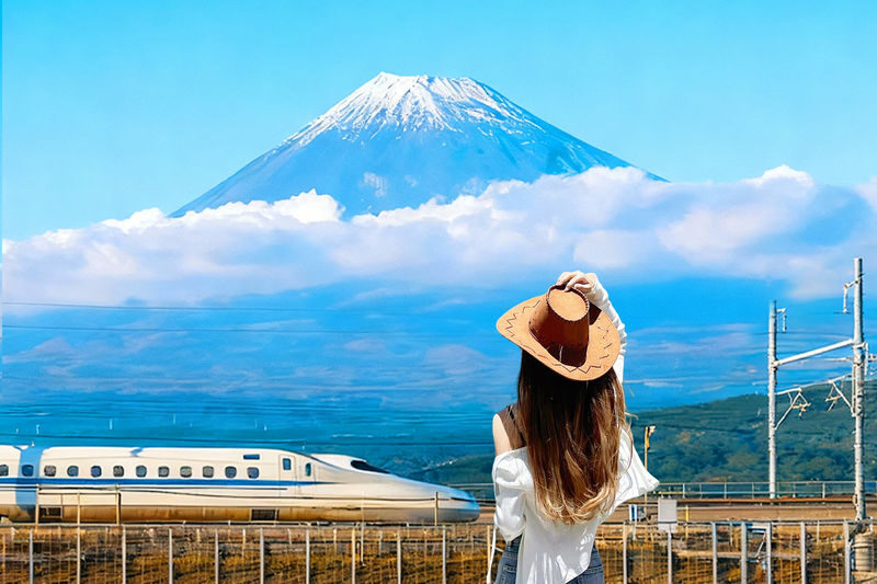Mt. Fuji 5th Station & Hakone Owakudani & Ropeway + Pirate Ship Dual Experience (Upgrade to Bullet Train Round Trip Day Tour Available | Departing from Tokyo) - Key points before you book