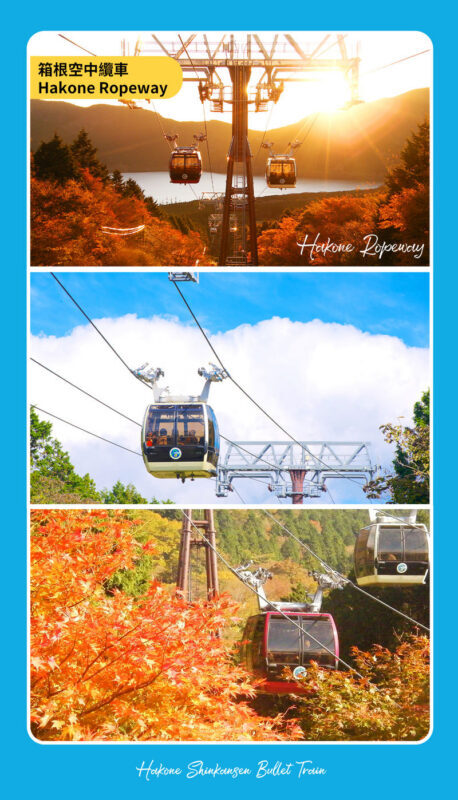 Mt. Fuji 5th Station & Hakone Owakudani & Ropeway + Pirate Ship Dual Experience (Upgrade to Bullet Train Round Trip Day Tour Available | Departing from Tokyo) - Lunch depends on the package you choose