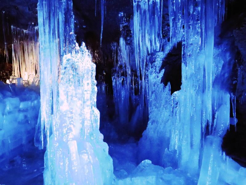 Mt. Fuji 5th Station, Ice Cave Adventure & Seasonal Fruit Picking All-You-Can-Eat Day Bus Tour from Shinjuku - Fruit picking is the day’s hands-on highlight