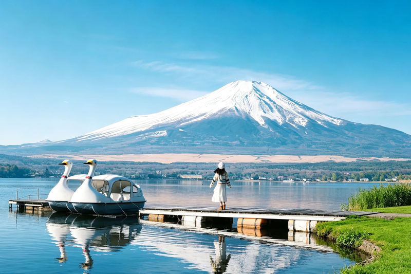Mt. Fuji 6 Major Instagram-Worthy Photo Spots Day Tour (Departing from Tokyo / Multilingual Options Available) - Six Fuji views, one long day