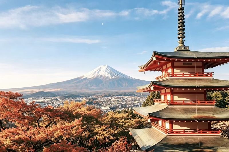 Mt. Fuji 6 Major Instagram-Worthy Photo Spots Day Tour (Departing from Tokyo / Multilingual Options Available) - Lake Yamanaka: swans and wide-open views