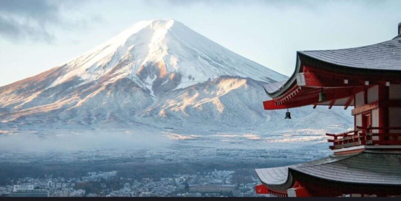 Mt.FUji and Cherry Blossom Full Day Trip with English Driver - Detailed Review: Is the Mount Fuji and Cherry Blossom Full Day Trip Right for You?