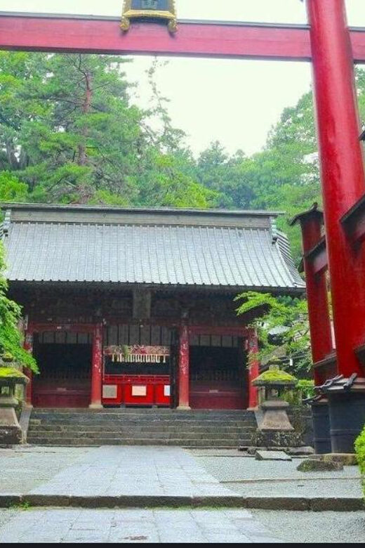 Mt.FUji and Cherry Blossom Full Day Trip with English Driver - FAQs