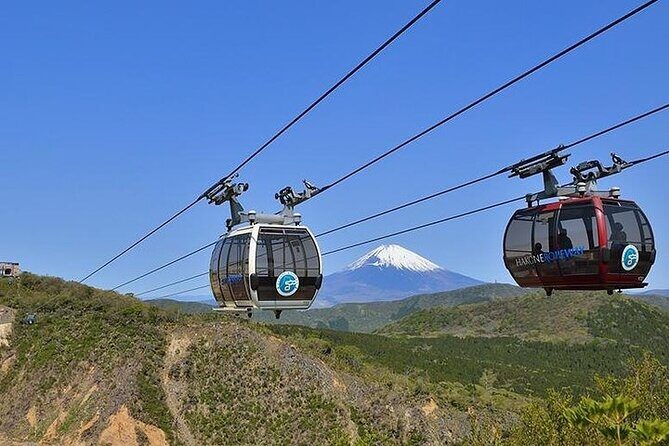 Mt Fuji and Hakone 1 Day Bus Tour Return by Bullet Train - Returning to Tokyo: Bullet Train Experience